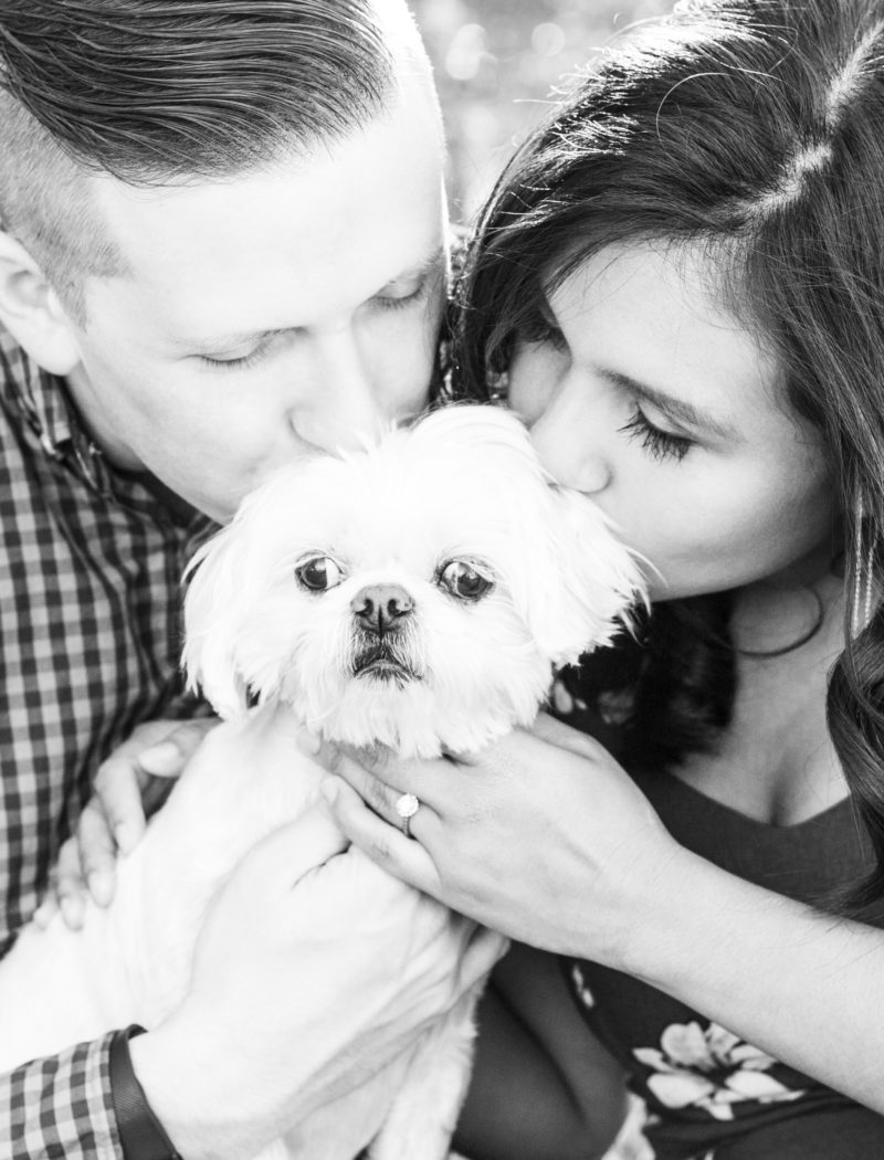 engagement photos