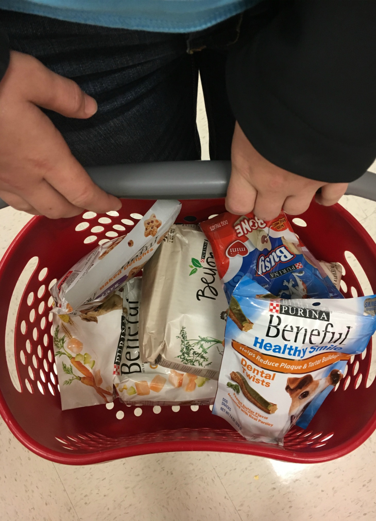 Gift Basket for a Visiting Pet