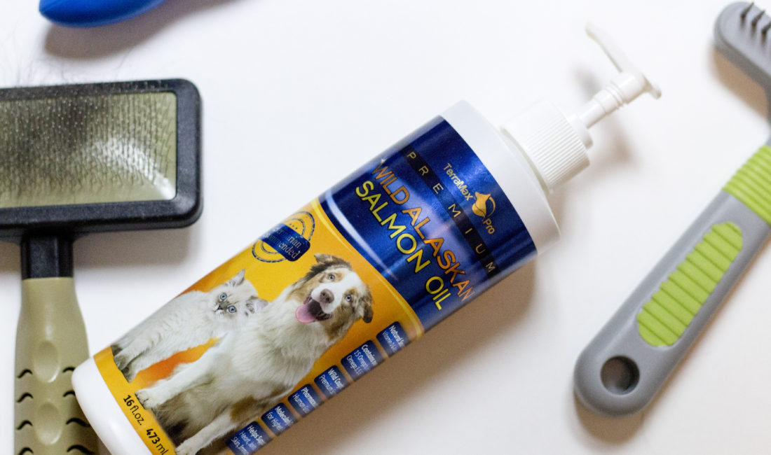 How to Groom a Dog with a Dual-Coat