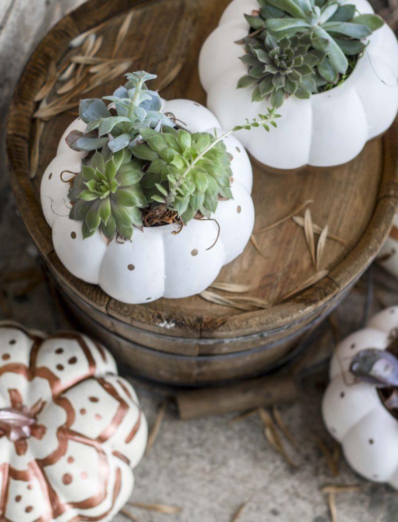 Bohemian painted pumpkins